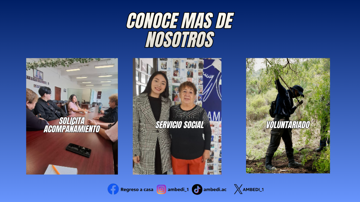 Banner Informativo